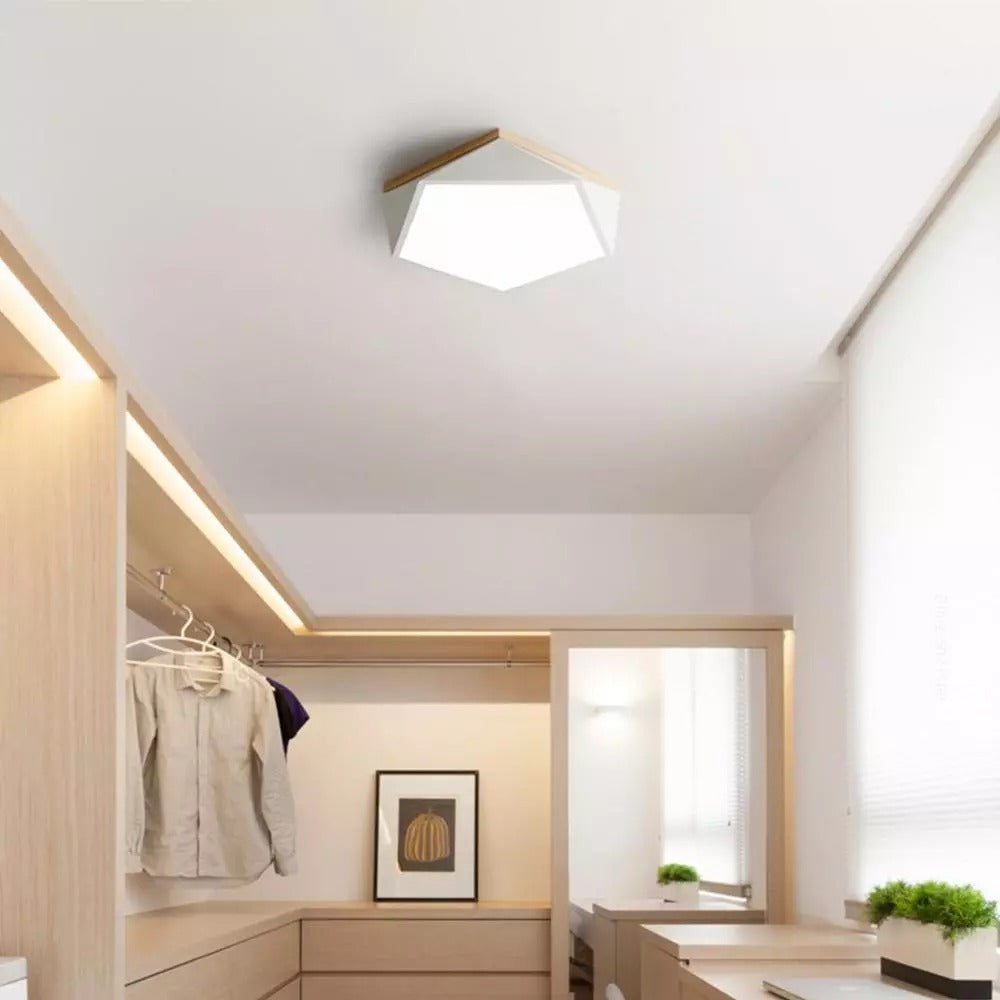 Smart Ceiling lamp - Lodamer