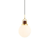 ARC Globe Pendant Lamp| Globe Pendant Light
